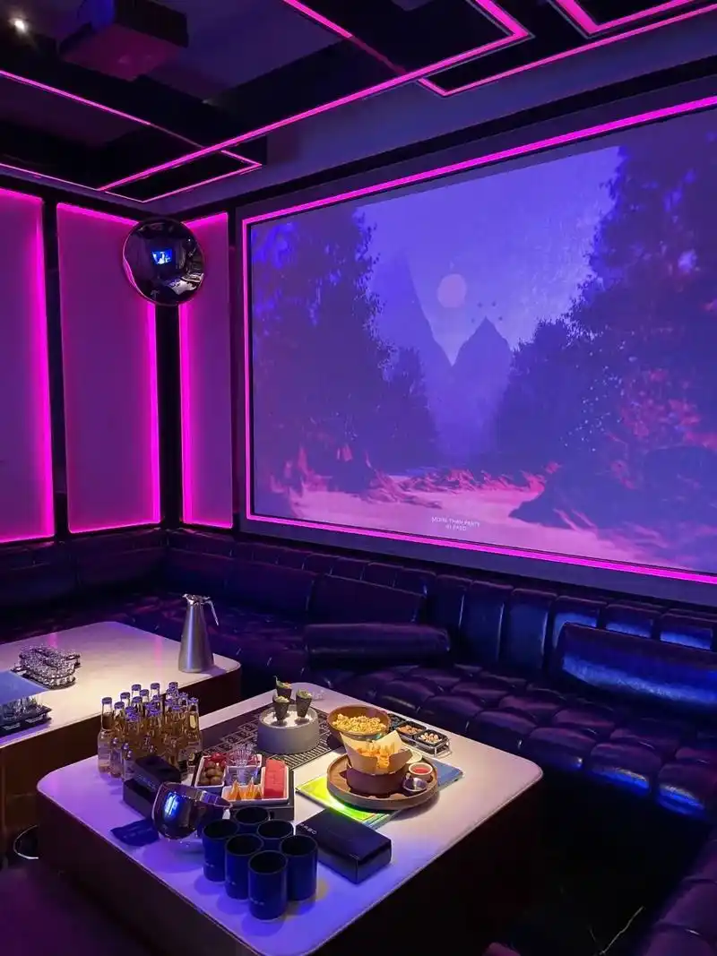 湛江商务ktv揭秘商务ktv什么意思-霞山区ktv预订